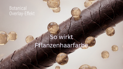 Pflanzenhaarfarbe RUBINROT